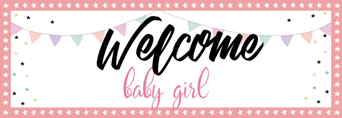 BS10G Banner Welcome Baby Girl