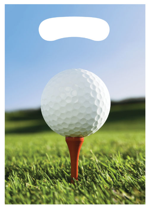 Bolsa Dul Golf C/8
