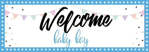 BS10B Banner Welcome Baby Boy
