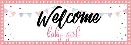 BS10G Banner Welcome Baby Girl
