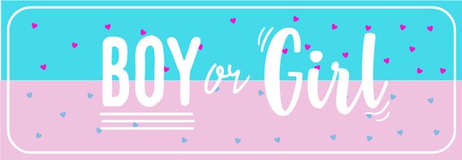 [GR03] GR03 Banner Corazones