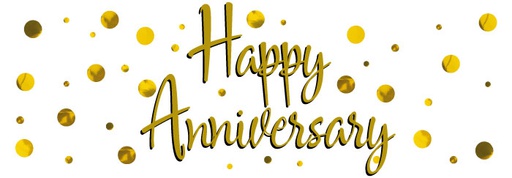 AN03 Banner Anniversary Dots