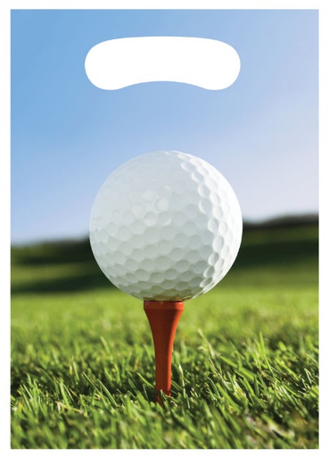 [20.087965] Bolsa Dul Golf C/8