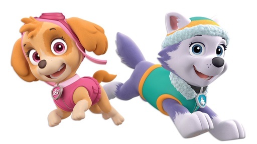 [P10.6016/683] Adorno Movil Paw Patrol Niña
