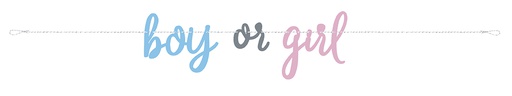 [P1.76087] Party Banner Gender Reveal