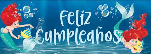 PER03 Banner Ariel
