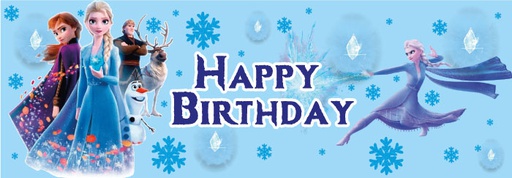 PER15 Banner Frozen 2