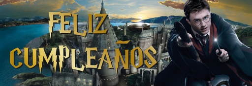 PER16 Banner Harry Potter