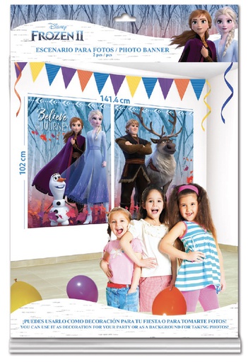 [P10.425/818] Photo Banner Frozen 2