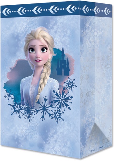 [P10.498/818] Bolsa Dul Bond Elsa Frozen 2 C/10