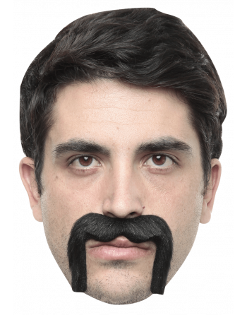 [P240.662782] Bigote Mexicano