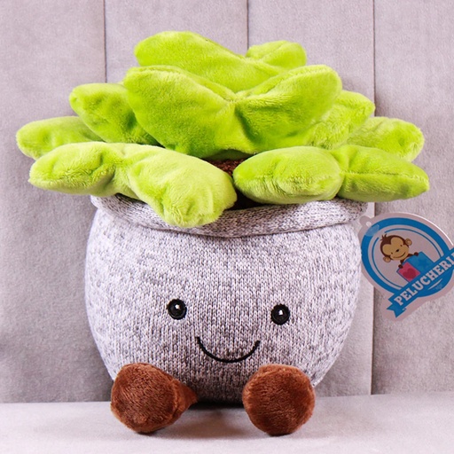 [61.A086/72]  27CM SUCULENTA POT